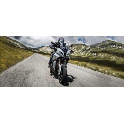 Dunlop MUTANT 120/70 ZR 19 M+S  60W TL Delantera