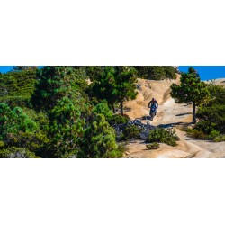 Dunlop Trx Mission  150/70 B18  70T M+S TL  Rear DOT 13/24